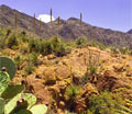  - El Paso Movers