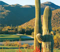  - Tucson Movers